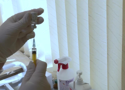 В Запорожской области от гриппа вакцинировались более 244 тысяч человек в 2024 году