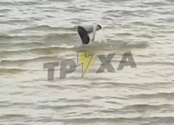 Запорожцы стали свидетелями странного поведения мужчины в Днепре 