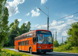 Новый автобусный маршрут из Подмосковья в Крым запущен через Запорожскую область