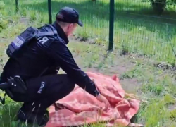 Полицейские в Запорожье спасли обессиленную косулю