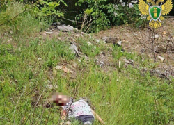 «Вела дневник убийств»: фанатка Битцевского маньяка забила молотком 7-летнюю девочку в Бердянске