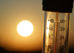 Аномальная жара под 40° ожидается в Запорожской области