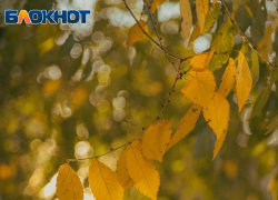 Резкое похолодание с дождями и грозами ожидается в Запорожской области