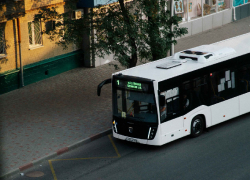 Власти Запорожской области продлили автобусный маршрут до Бердянской косы