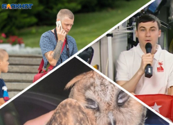 Новости Запорожья: угрозы дипфейк-атак, мимимишное спасение совёнка и поздравление с Днём Победы с МКС