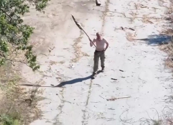 ВСУ убили дронами своего сослуживца, который шёл сдаваться в плен ВС РФ на Запорожском фронте СВО