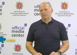 Власти Запорожья предложили жителям самостоятельно справляться с нашествием саранчи