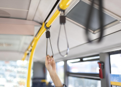 В Запорожской области проезд в общественном транспорте на 9 Мая будет бесплатным