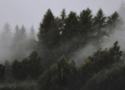 Октябрь прощается с Запорожской областью туманом и облаками 