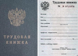 О важном требовании по оформлению российской трудовой книжки рассказали запорожцам 