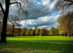 Похолодание и переменная облачность ожидается в Запорожской области 11 июня