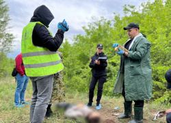 В Запорожской области отчим застрелил 20-летнего пасынка