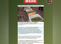 Власти опровергли украинский фейк о краже урожая у мелитопольских фермеров