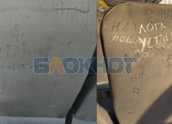 Матерщина и неприличные рисунки: как преобразились автобусы в Мелитополе