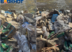 Гора испорченных продуктов появилась под окнами жителей запорожского села Ивановка