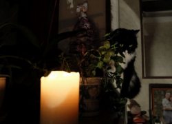 Свет внезапно отключился из-за аварии во всём Энергодаре 