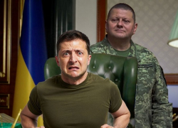 Залужный обвинил Зеленского в срыве контрнаступления ВСУ в Запорожье