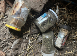 В Запорожской области полицейские изъяли у мужчины четыре банки марихуаны