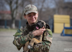 Четверо щенков пополнили ряды запорожских полицейских
