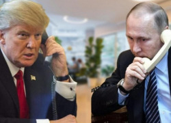 Трамп заявил, что обсудит с Путиным раздел Запорожья