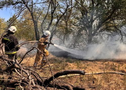 Спасатели почти целый день боролись с масштабным пожаром на Хортице