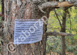 «Дело времени»: необычным способом герою-любовнику пригрозили отрезать яйца в Запорожье