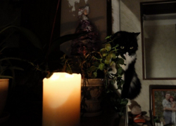 Сроки возвращения света жителям Запорожской области назвал Евгений Балицкий