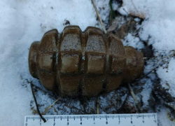 Мелитопольцы нашли ручную гранату прямо посреди улицы