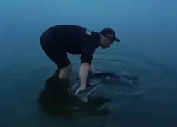 Запорожские полицейские спасли осетра