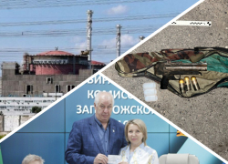 Новости Запорожья: ЗАЭС в энергосистеме России, гранатомёт в кустах и новая работа экс-мэра Бердянска