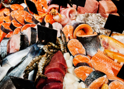 В Запорожскую область едва не доставили три тонны опасной мясной и рыбной продукции