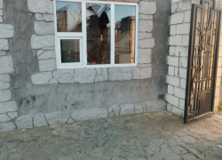 ВСУ ранили льва во время удара по Васильевскому зоопарку