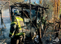 Спасатели назвали причину пожара в трех постройках в Мелитополе