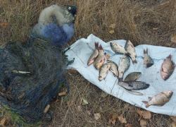 Запорожский браконьер наловил рыбы почти на 50 тысяч рублей 