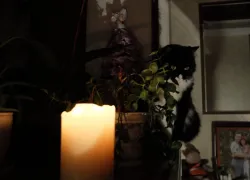 Без света остались жители нескольких запорожских округов вечером 7 февраля