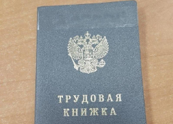Порядок трудоустройства запорожцев упростили в правительстве РФ