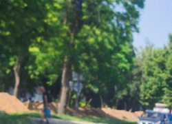 Водители просят обратить внимание на опасную листву на перекрёстке в Запорожье