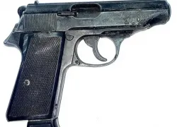 Житель Запорожской области прятал нелегальное оружие в пчелином улье