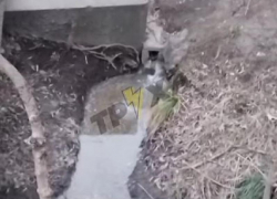 «Смотрите, какашки плавают»: речку-вонючку нашли запорожцы у себя под носом 