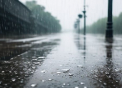 Дождь и сильный ветер ожидаются в Запорожской области