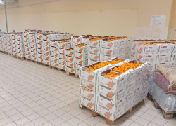 Мандарины из Абхазии передадут в соцучреждения Мелитополя