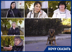 «Люди оскотинились»: обращавшиеся к Путину зоозащитники призвали Балицкого отказаться от отстрела бродячих псов