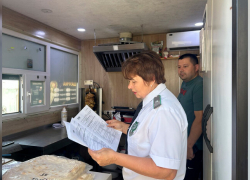 Россельхознадзор выявил 88 нарушений в общепитах Мелитополя