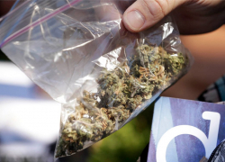 Житель Энергодара носил с собой целый пакет конопли