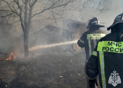 Жилые дома чуть не сгорели из-за крупного возгорания сухой травы в Запорожской области