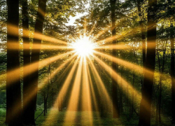 Аномальная жара будет мучить запорожцев до конца недели