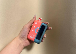 Путин одобрил идею полного запрета вейпов в Запорожской области