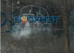 Жители Мелитополя пожаловались на исписанные неприличными граффити заборы в «эко-парке»