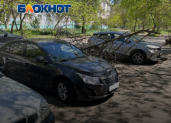 В Мелитополе выпали осадки в виде огромных сухих веток