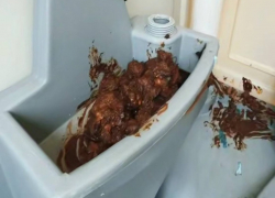 Неизвестные обмазали фекалиями новый биотуалет в Запорожье